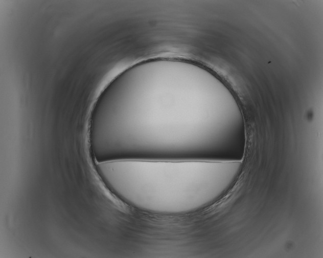 X0000097671375200802290935