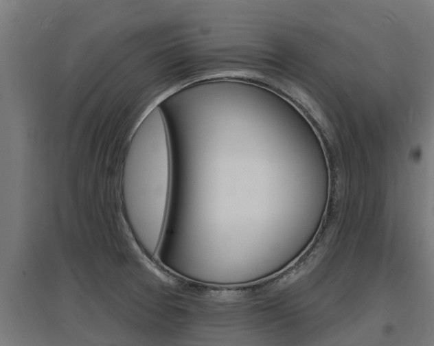 X0000097671377200802290935
