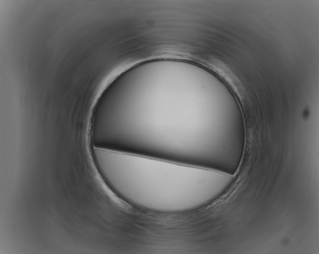 X0000097671379200802290935