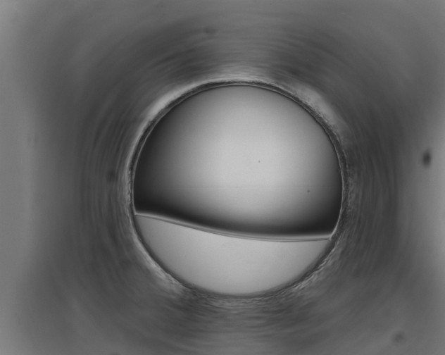 X0000097671380200802290935