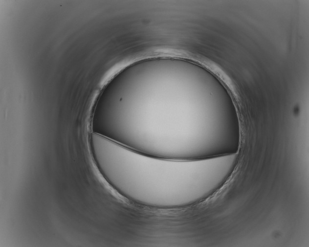 X0000097671381200802290935