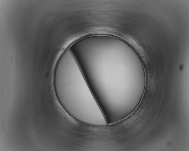 X0000097671384200802290935
