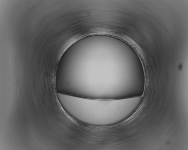 X0000097671385200802290935