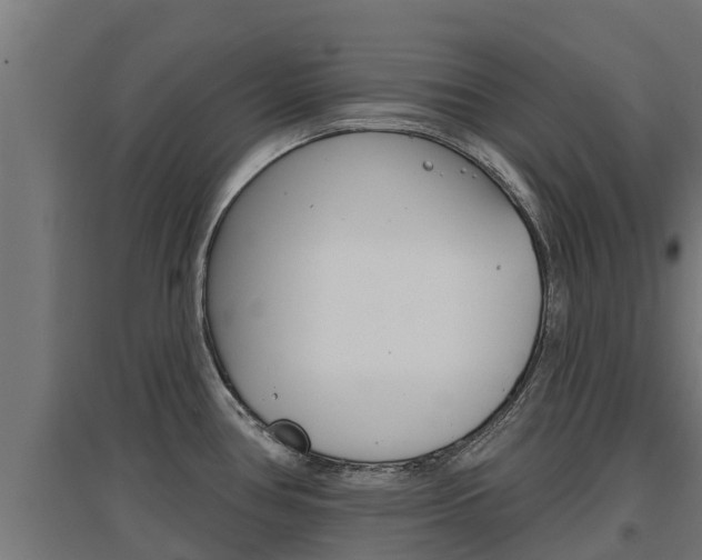 X0000097671386200802290935