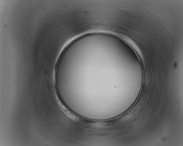 X0000097671388200802290935