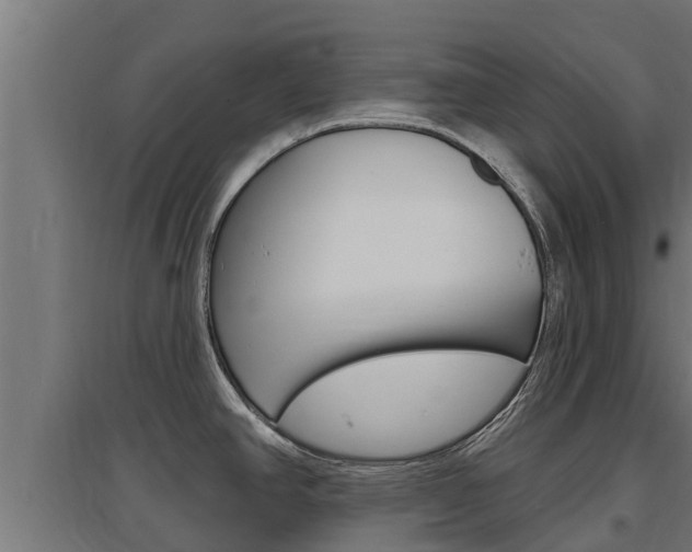 X0000097671390200802290935