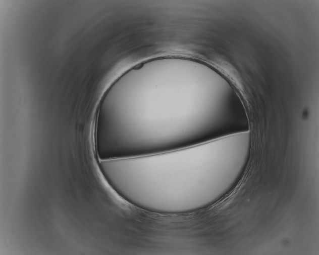 X0000097671391200802290935