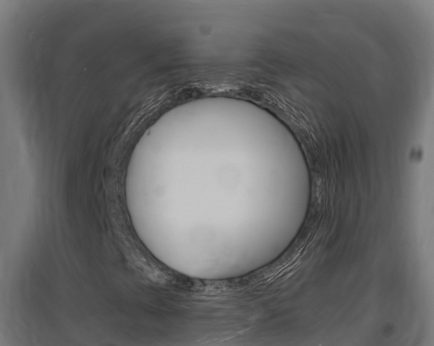 X0000097671393200802290934