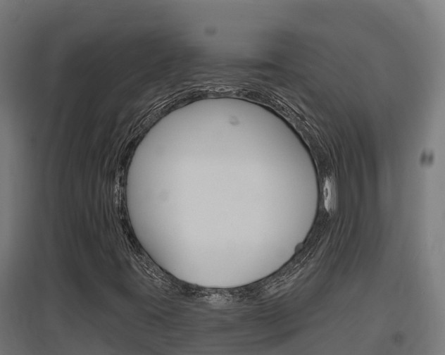 X0000097671395200802290934