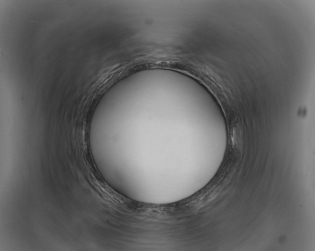 X0000097671396200802290934