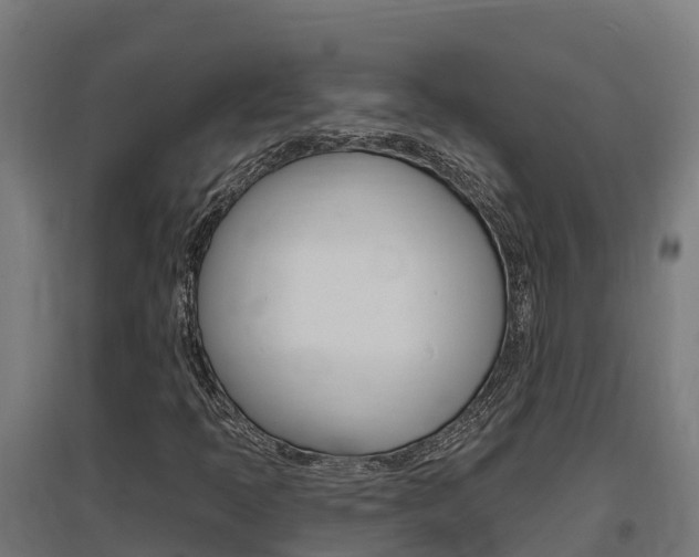 X0000097671397200802290934