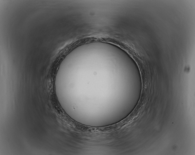 X0000097671398200802290934