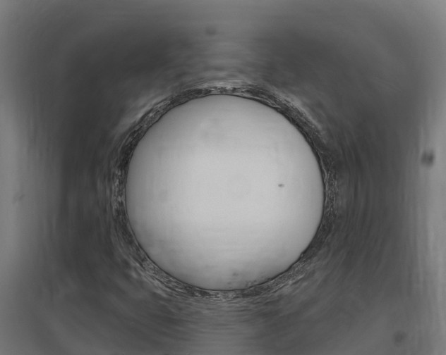 X0000097671399200802290934