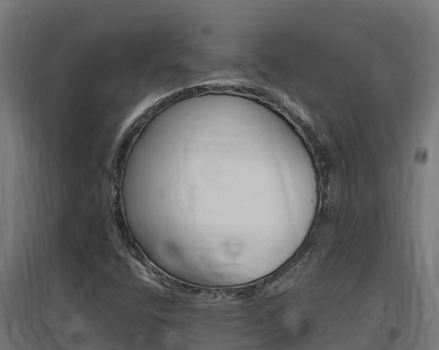X0000097671400200802290934
