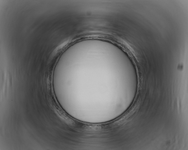 X0000097671403200802290934