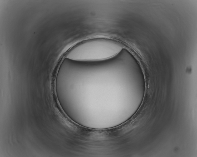 X0000097671404200802290934