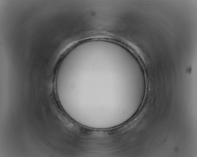 X0000097671407200802290935