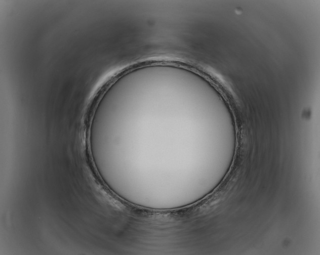X0000097671408200802290935