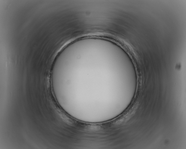 X0000097671409200802290935