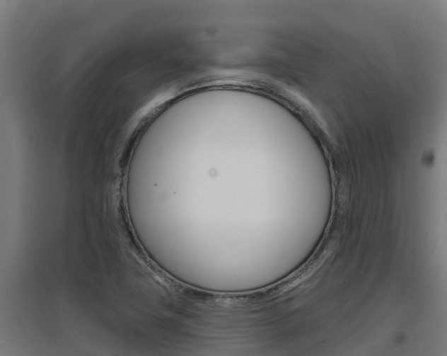 X0000097671411200802290935