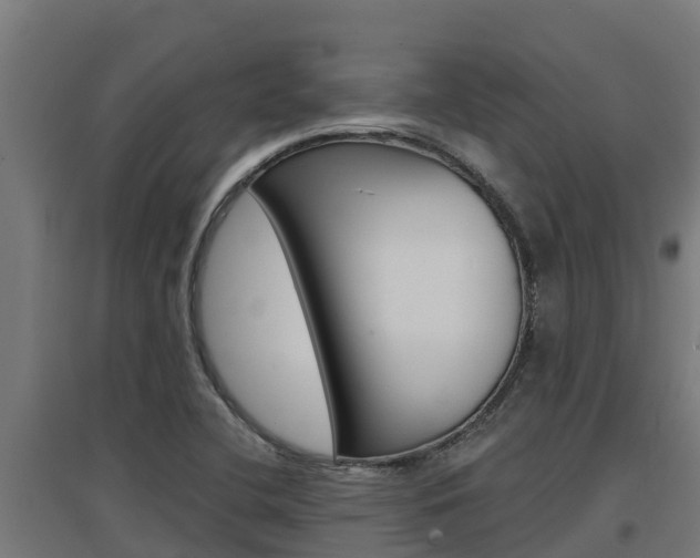 X0000097671412200802290935