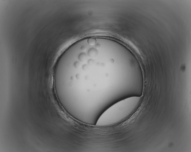 X0000097671413200802290935