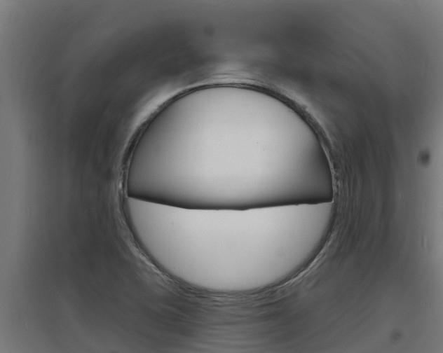 X0000097671415200802290935