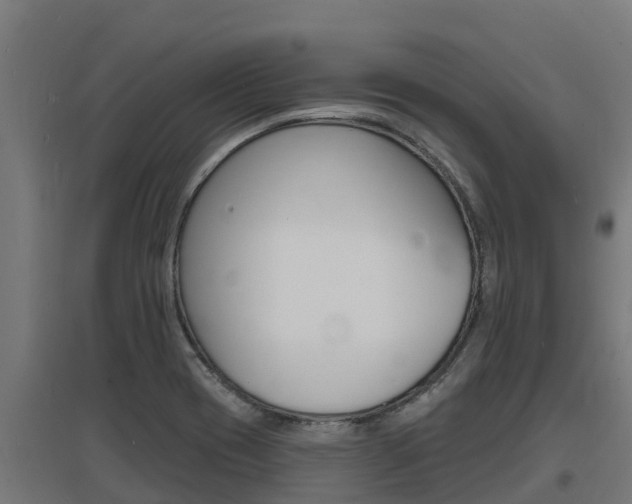 X0000097671417200802290935