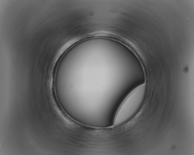 X0000097671418200802290935