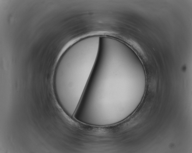 X0000097671420200802290935