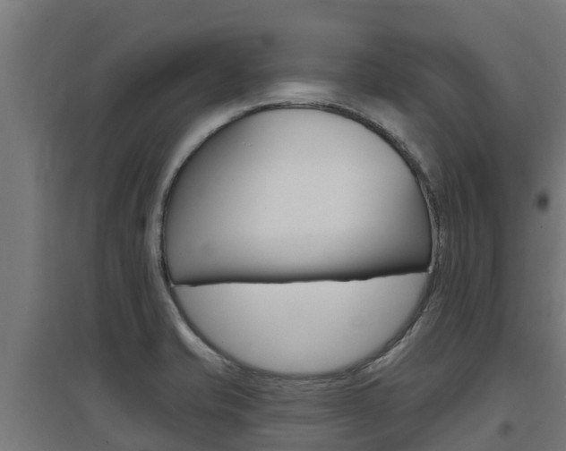 X0000097671421200802290935