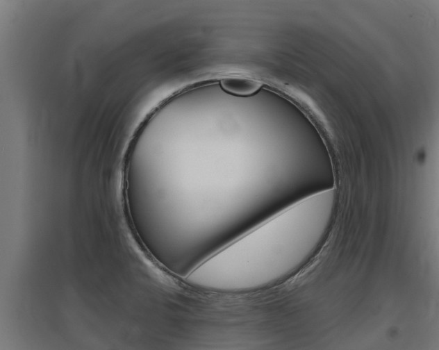 X0000097671424200802290935