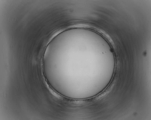 X0000097671425200802290935