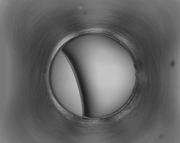 X0000097671426200802290935