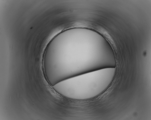 X0000097671427200802290935