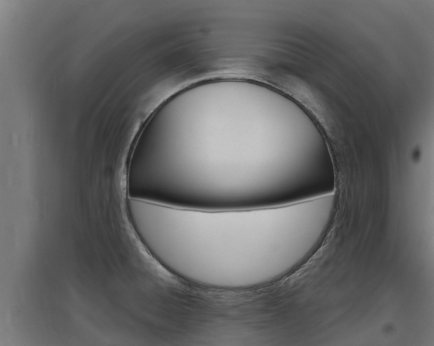 X0000097671428200802290935
