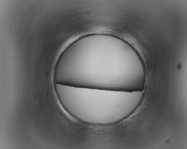 X0000097671429200802290935