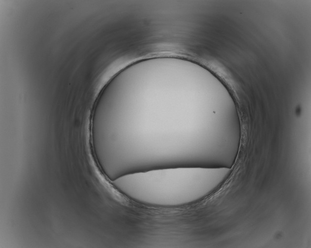 X0000097671431200802290935