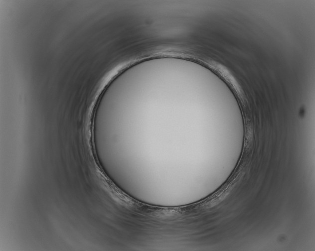 X0000097671435200802290935