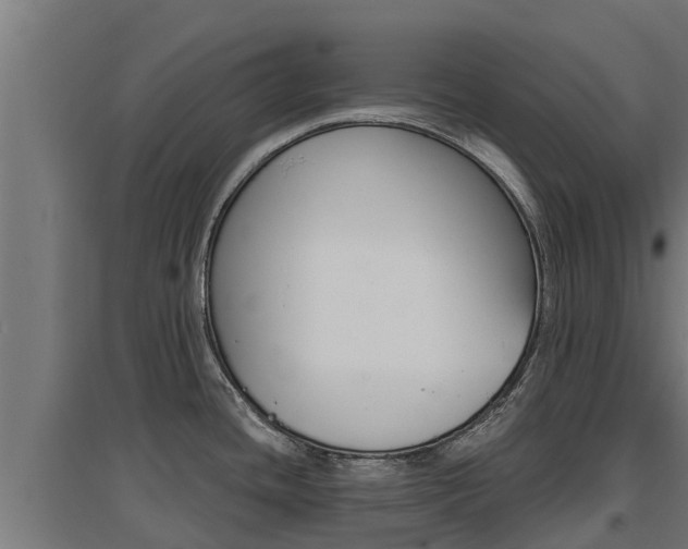 X0000097671436200802290935