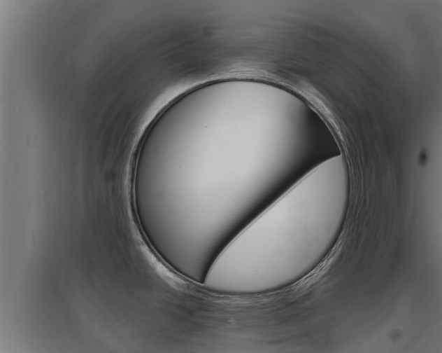 X0000097671438200802290935