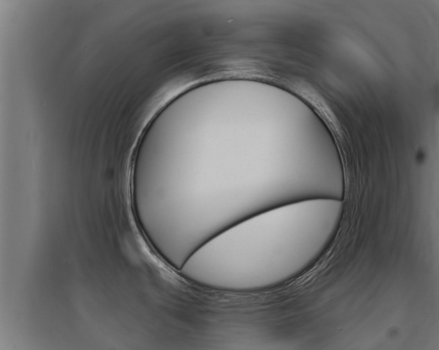X0000097671439200802290935