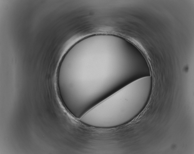 X0000097671440200802290935
