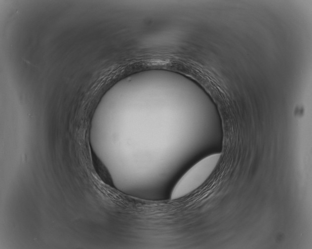 X0000097671441200802290934