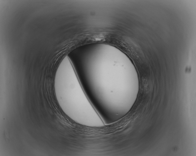 X0000097671442200802290934