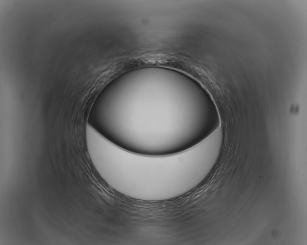 X0000097671444200802290934