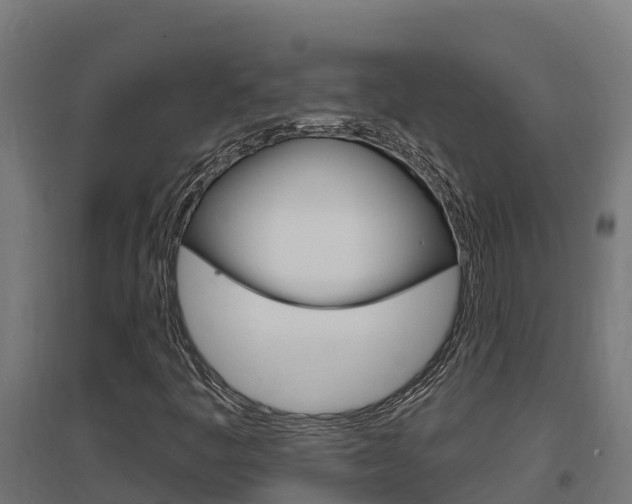 X0000097671445200802290934