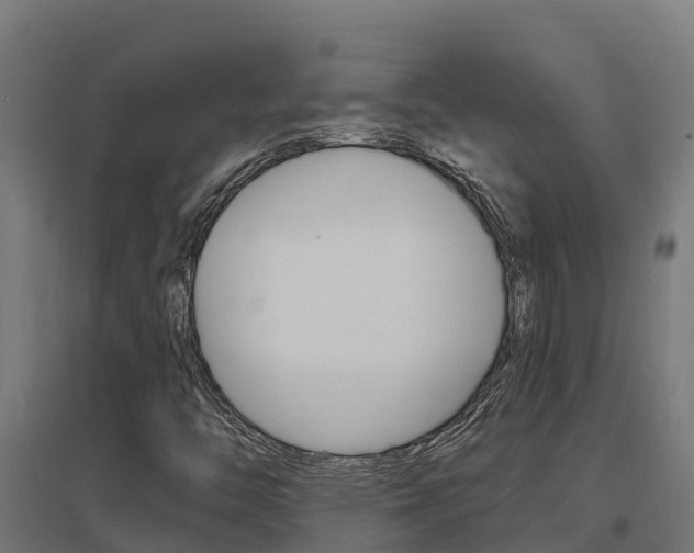 X0000097671446200802290934