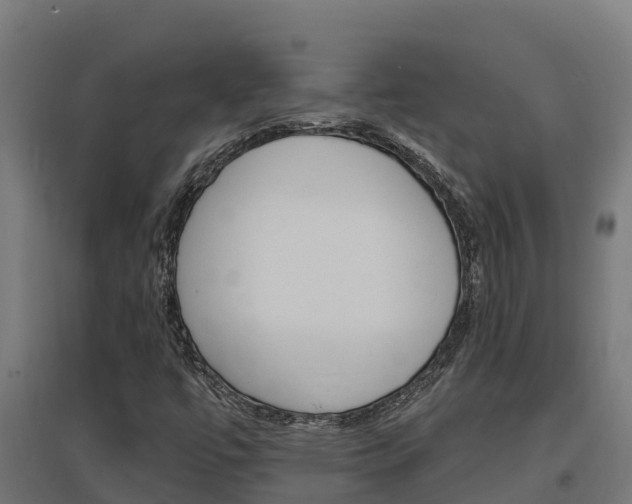 X0000097671447200802290934