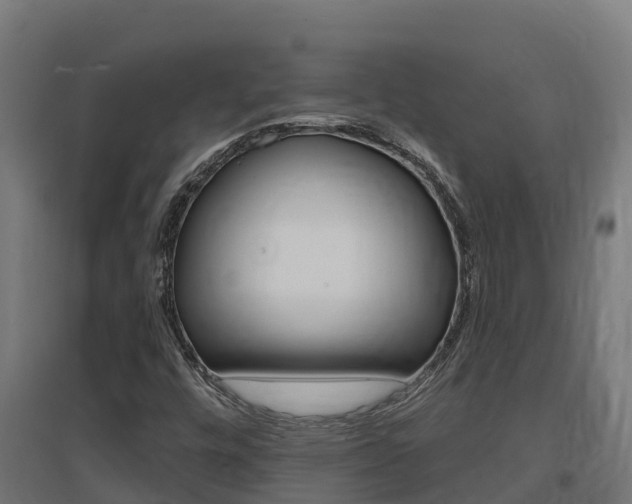 X0000097671448200802290934